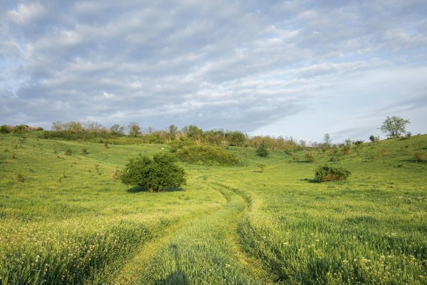 Le boom des locations de prestige dans le monde du cinéma